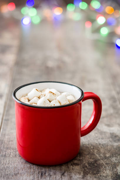 istock Christmas cocoa with marshmallow and Christmas lights 1048384514