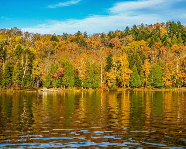 istock Relaxing in the lake in fall 1048390130