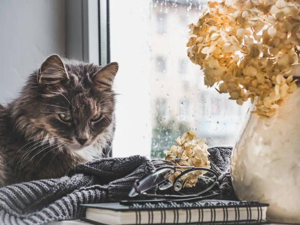 istock Charming kitten and jug with beautiful, white flowers 1048391260