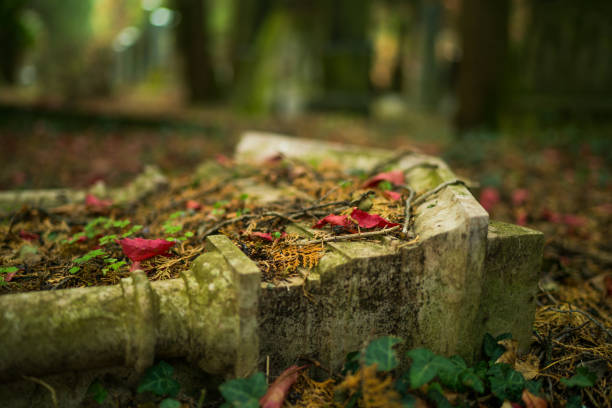 fallen tombstones on the abandoned jewish part of the graveyard zentralfriedhof the cemetery of vienna the capital of austria