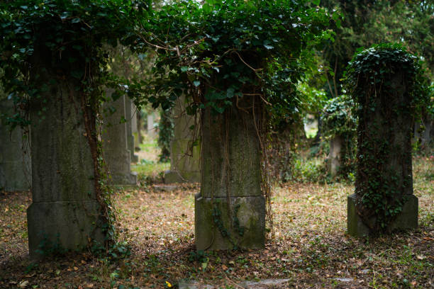 istock rows of old overgrown tombstones 1048394770