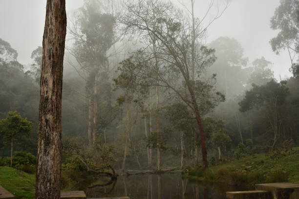 istock Nature photography 1048394806