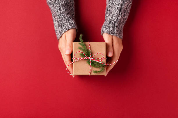 Hands holding Christmas gift box. Female's hands in pullover holding Christmas gift box decorated with evergreen branch on red background. Christmas and New Year concept. hand holding gift stock pictures, royalty-free photos & images