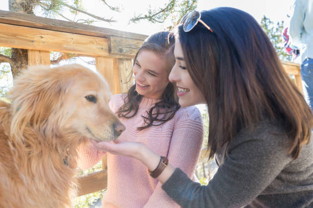 istock Female friends play with cute dog 1048402770