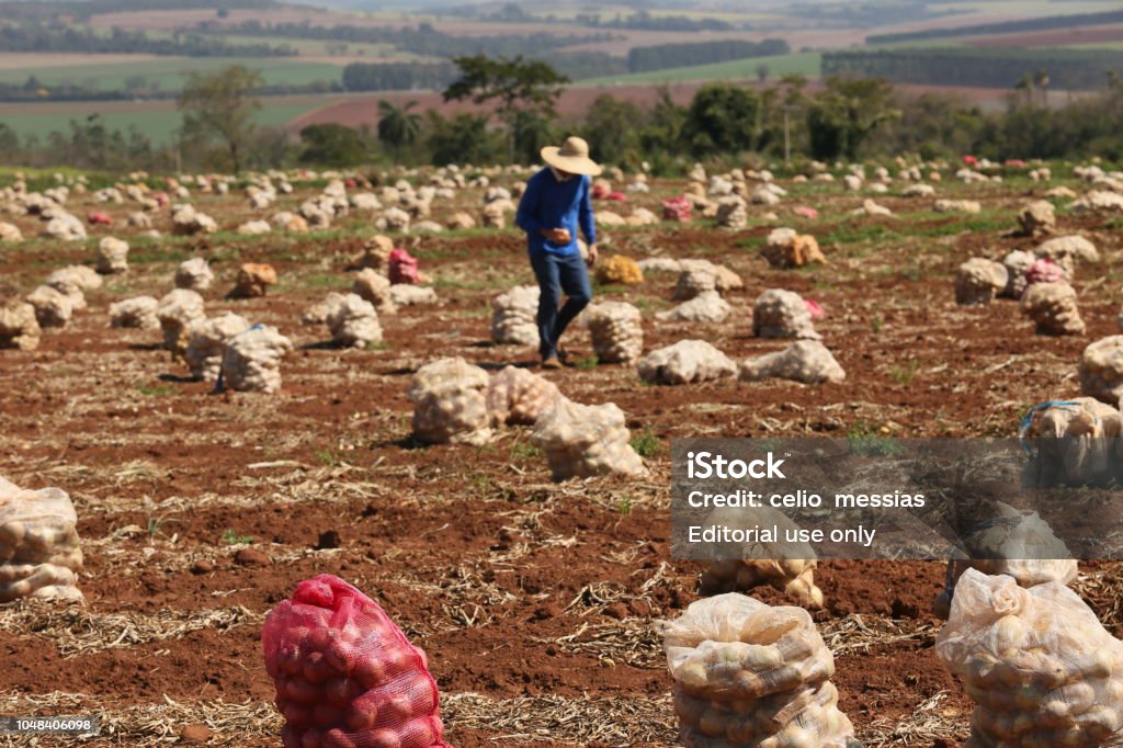 Betriebe und Branchen, die Agrarindustrie zu produzieren - Lizenzfrei Agrarbetrieb Stock-Foto