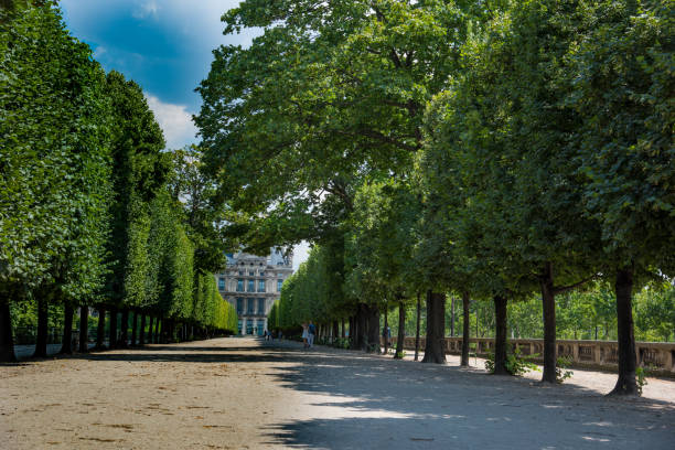 istock Tree-lined boulevard in jardin de tuileries in Paris 1048419624