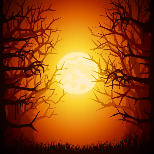 bildbanksillustrationer, clip art samt tecknat material och ikoner med halloween kusliga skogen - moon forest