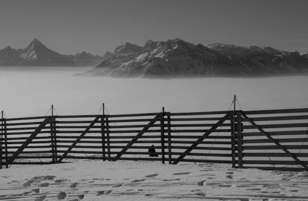 Magnificent view of the alps and fence in the snow in winter, seen from the top of the mountain Gaisberg, Salzburg, Austria. Magnificent view of the alps and fence in the snow in winter, seen from the top of the mountain Gaisberg, height approx. 1300 m.  A layer of high fog above  the valley of Salzburg. People enjoy the view.  Austria, Europe. gaisberg stock pictures, royalty-free photos & images