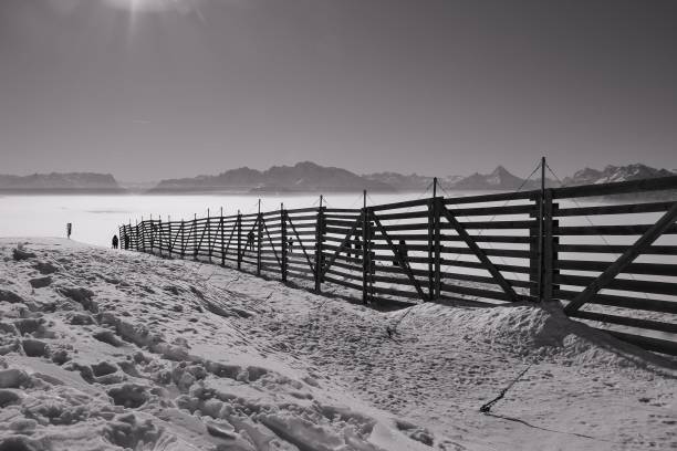 Magnificent view of the alps and fence in the snow in winter, seen from the top of the mountain Gaisberg, Salzburg, Austria. Magnificent view of the alps and fence in the snow in winter, seen from the top of the mountain Gaisberg, height approx. 1300 m.  A layer of high fog above  the valley of Salzburg. People enjoy the view.  Austria, Europe. gaisberg stock pictures, royalty-free photos & images