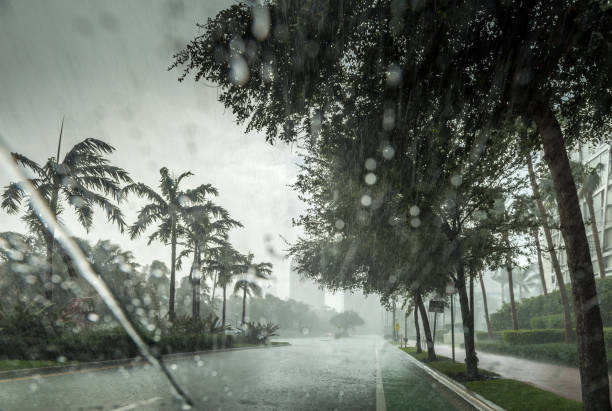 Tropical rain Tropical torrential rain in Miami Beach. monsoon stock pictures, royalty-free photos & images