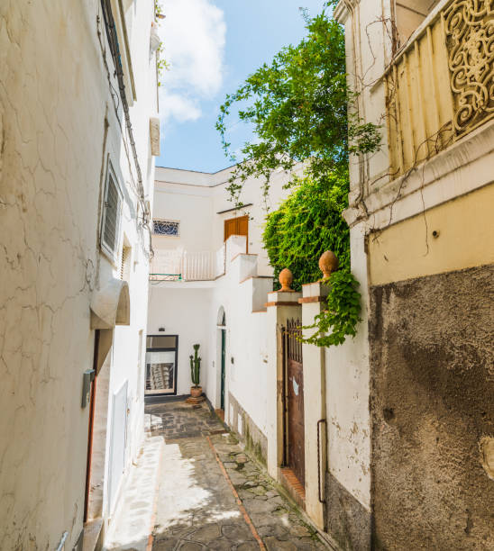 Narrow alley in old town Capri, Italy