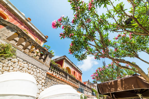 Elegant building and oleander tree in world famous Capri island, Italy