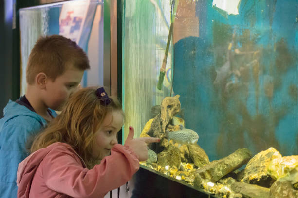 istock Boy and girl watching the aquarium 1048447238