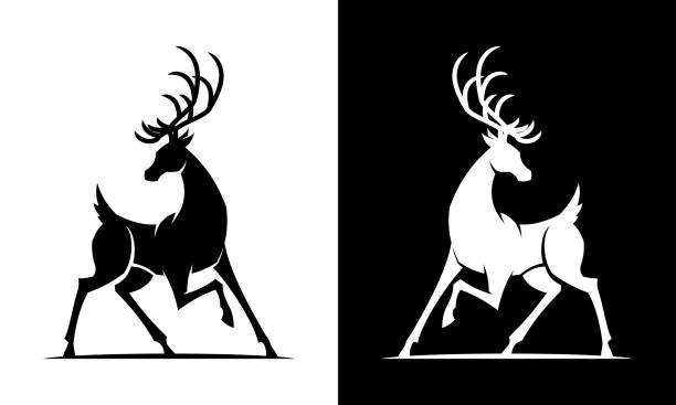 Deer silhouette black and white icon Black and white deer vector cut out silhouette silhouette of a elk antler tattoo stock illustrations
