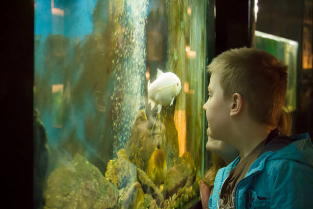 istock Boy and girl watching the aquarium 1048447814