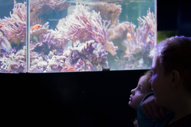 istock Boy and girl watching the aquarium 1048450028