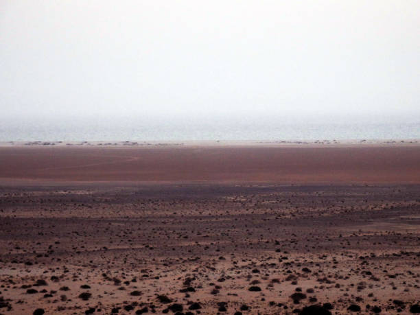 istock Arid landscape in Western Sahara 1048450426