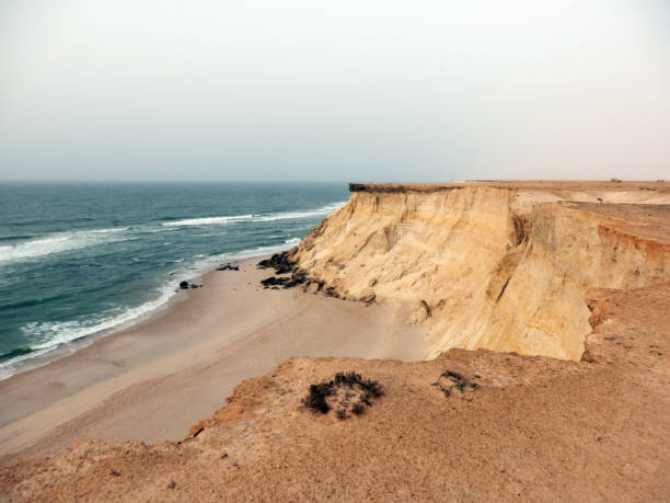 Cliffs in Western Sahara Atlantic coast in Western Sahara near Dakhla western sahara stock pictures, royalty-free photos & images