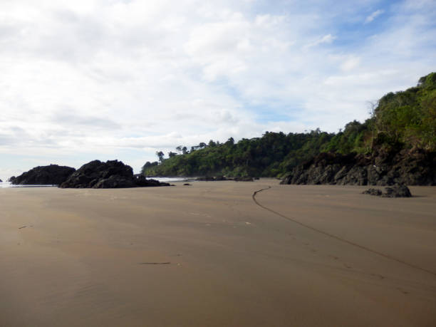 istock Beach in El Valle, Bahia Solano in Colombia 1048451538