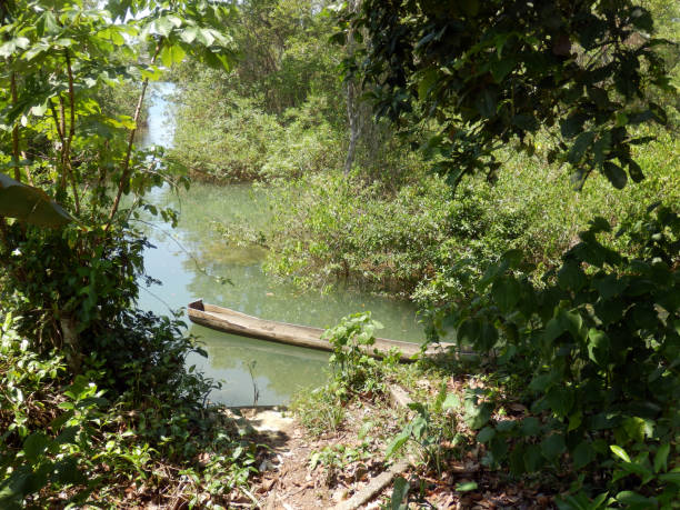 istock Canoe in El Valle, Bahia Solano in Colombia 1048453920