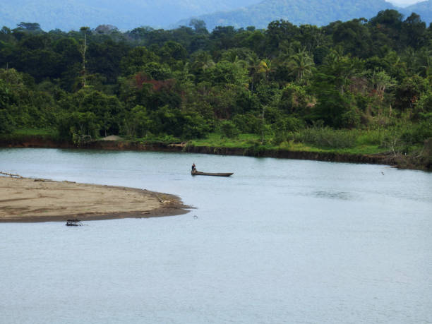 fiume a el valle, bahia solano in colombia - choco foto e immagini stock