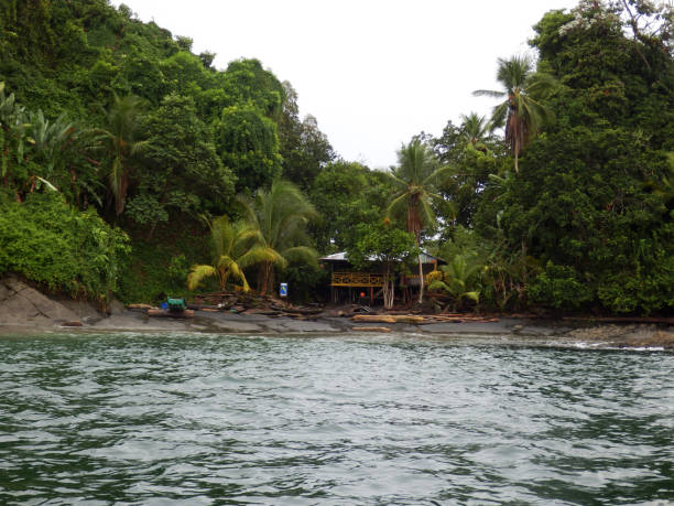 spiaggia nel parco nazionale dell'utria in colombia - choco foto e immagini stock