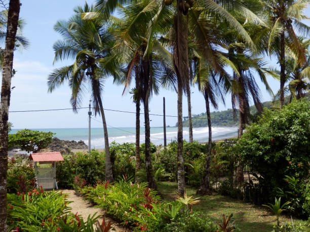 Beach on the pacific coast of quindio department in colombia