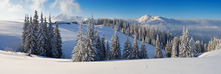 Winter forest in mountains. Snow on the trees. Christmas landscape