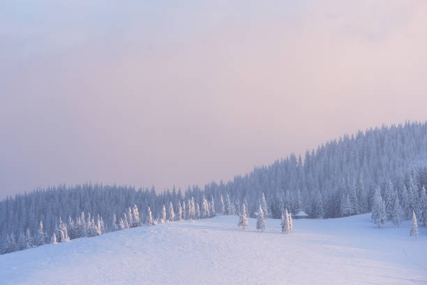 istock Christmas landscape in the winter mountains at sunset 1048464548