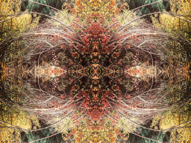 istock Nature abstract plant kaleidoscope 1048467020