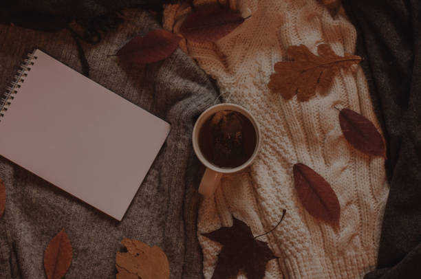 istock Autumn leaves with a cup of hot tea and empty notebook 1048467102