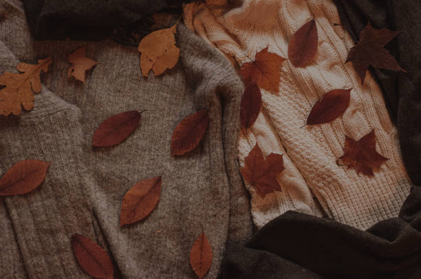 istock Autumn leaves on the cozy sweaters 1048467126