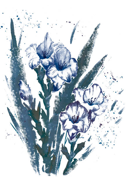 floral blühenden gladiolen aquarell handgezeichnete abbildung. - gladiolus flower iris design stock-grafiken, -clipart, -cartoons und -symbole