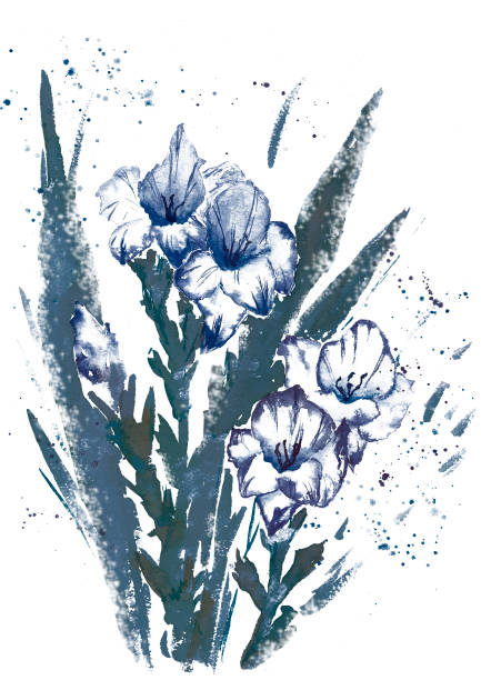 kwiatowy kwitnący gladiolus akwarela ręcznie rysowane ilustracji. - gladiolus flower beauty in nature white background stock illustrations