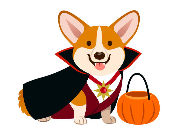 vampire dog cape