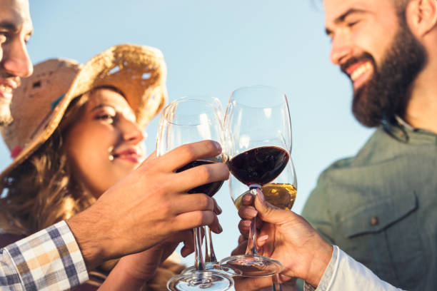 istock Happy friends having fun drinking wine at winery vineyard - Friendship concept with young people enjoying harvest time together 1048497668