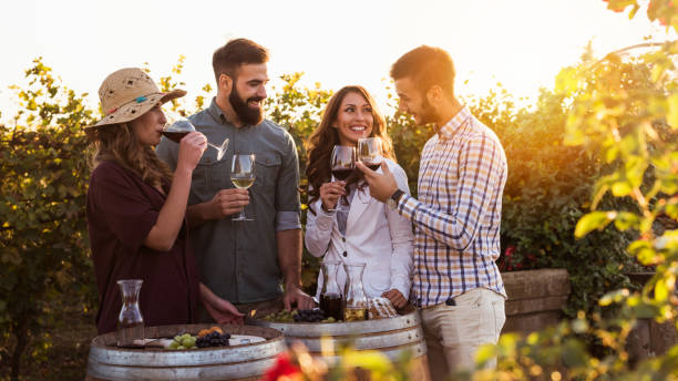 happy friends having fun drinking wine at winery vineyard - friendship concept with young people enjoying harvest time together - winetasting imagens e fotografias de stock