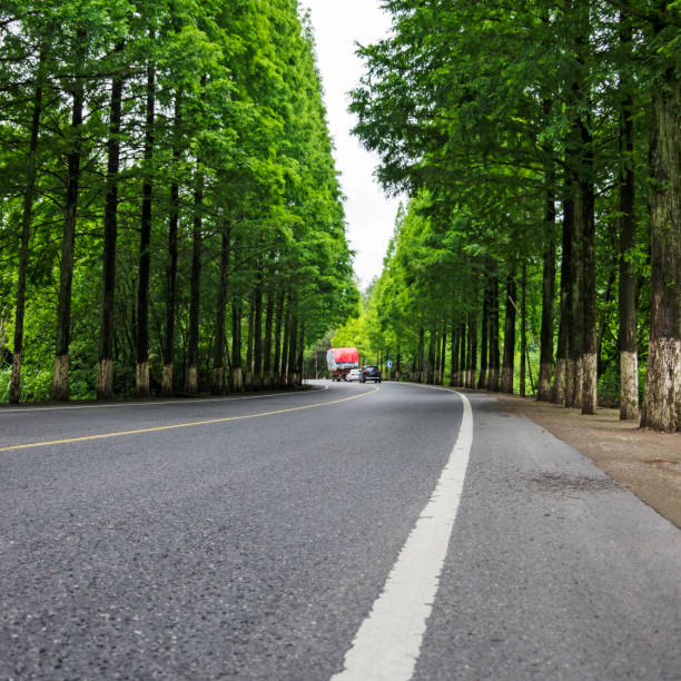 Pathn 40+ Pathn Stock Photos, Pictures & Royalty-Free Images - iStock