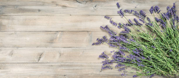 istock Lavender flowers rustic wooden background Vintage toned 1048510056