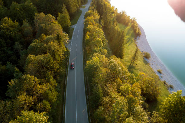 Road Through Forest, Aerial View Aerial view of a road through a golden forest in autumn, Bavaria, Germany. drone point of view road stock pictures, royalty-free photos & images