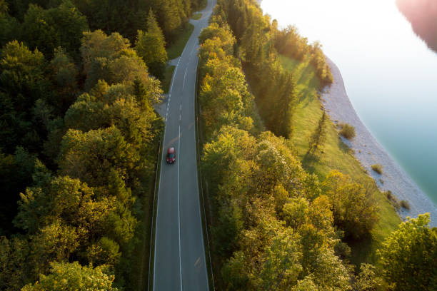 road through forest, aerial view - vista aérea de carro isolado imagens e fotografias de stock