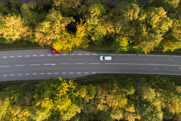 istock Road Through Forest, Aerial View 1048517728