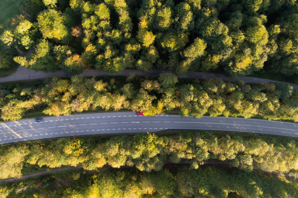 istock Road Through Forest, Aerial View 1048519760