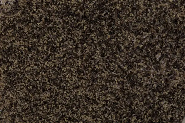 Close-up, high resolution of Black Pepper