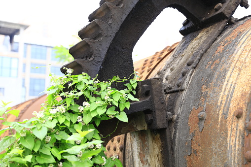 Rusty gears and equipment, close-up