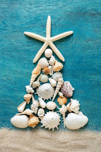 Christmas tree made from sea shells and starfish on wooden blue background, top view stock photo