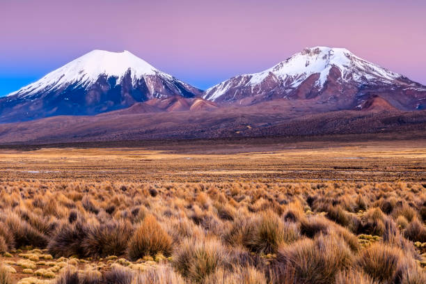 восход солнца над вулканом паринакота в национальном парке саджама, боливия - altiplano стоковые фото и изображения