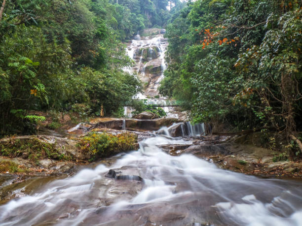 lata kinjang waterfall, tapah - awe beauty in nature waterfall cool imagens e fotografias de stock