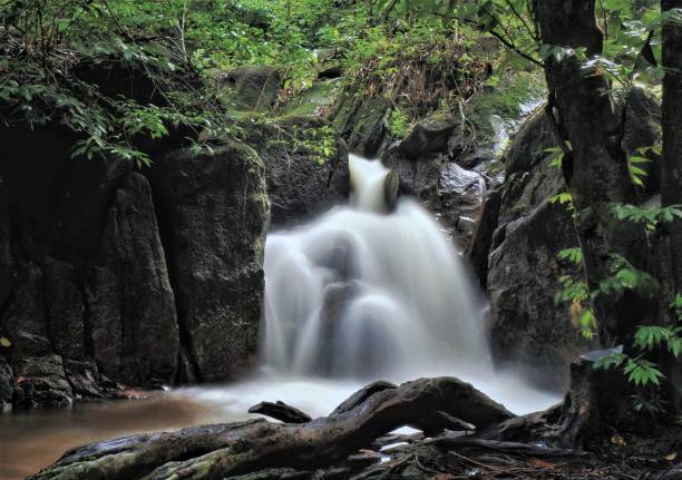 Sungai Tekala Recreational Forest is located about 14km away from the town of Semenyih in Hulu Langat, Selangor. The distance from Kuala Lumpur is approximately 50km. This recreation park was established in 1982 for the public to enjoy the beauty of the tropical rainforest in Selangor