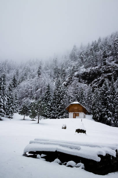 istock Lake in Winter season 1048579362